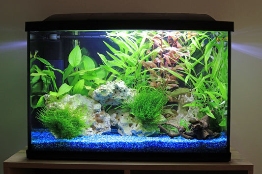 Supplies for nano aquarium.