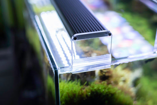 The Art of Aquascaping: Creating Stunning Nano Aquariums