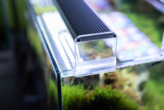 The Art of Aquascaping: Creating Stunning Nano Aquariums
