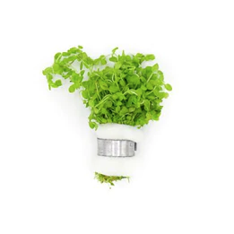 Nature's Blueprint Plant Bundle