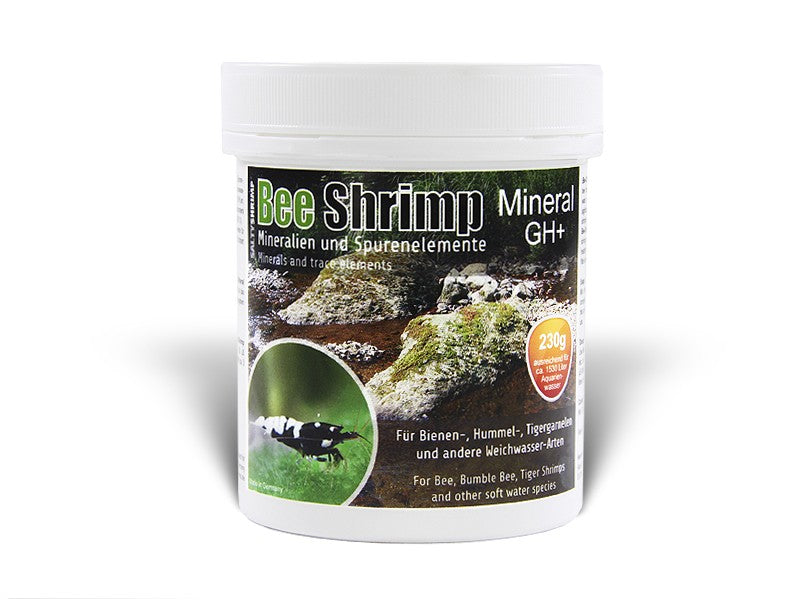Salty Shrimp Bee Shrimp GH+