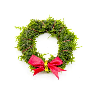 Christmas Moss Wreath