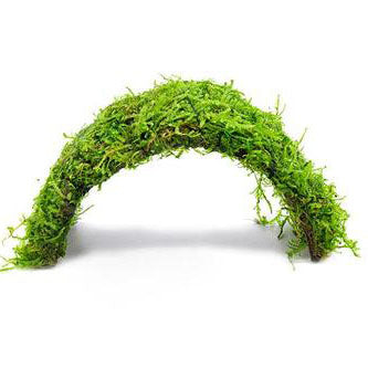 Christmas Moss attached to Coconut Shell Bridge