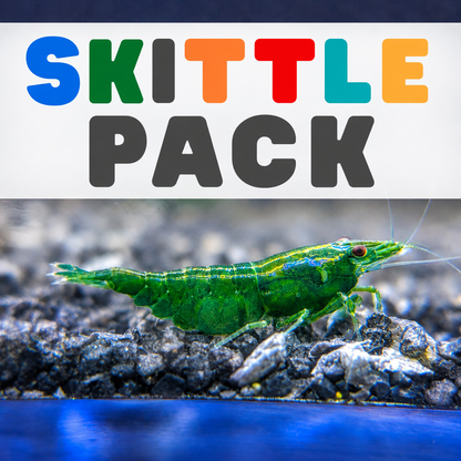 Neocaridina Skittle Pack