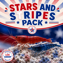 Neocaridina Stars & Stripes Pack