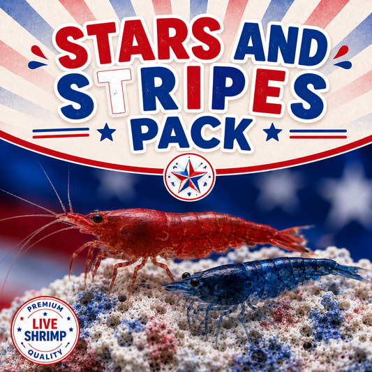 Neocaridina Stars & Stripes Pack