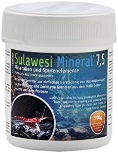 Salty Shrimp Sulawesi Mineral 7.5