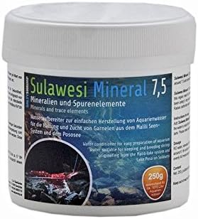 Salty Shrimp Sulawesi Mineral 7.5