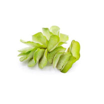 Salvinia Natans (Floating Fern)