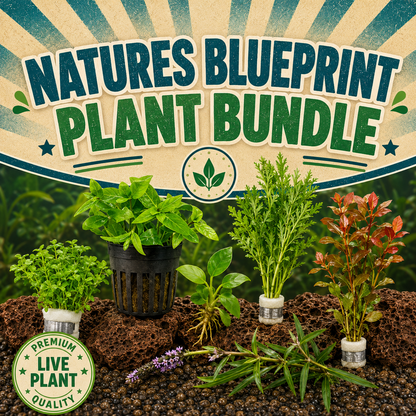 Nature's Blueprint Plant Bundle