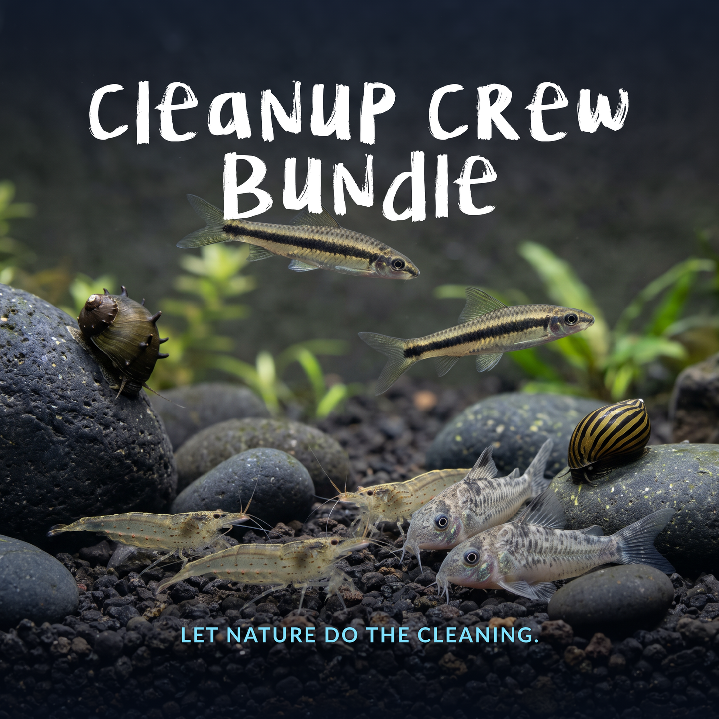 Cleanup Crew Bundle