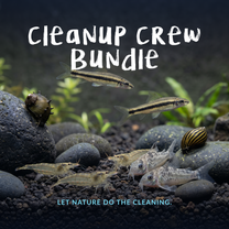 Cleanup Crew Bundle