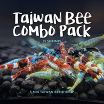 Taiwan Bee Combo Pack (5 Shrimp)