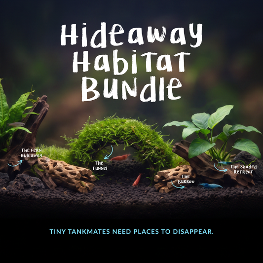 Hideaway Habitat Bundle