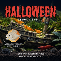 Halloween Spooky Bundle