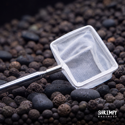 Shrimpy Business Shrimp Net